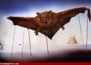 Salvador-Dali-Bat-31998
