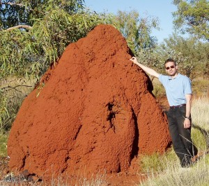 Gigantické termitište