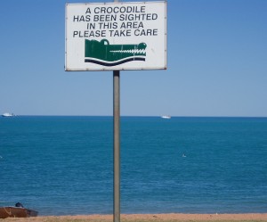 Pozor krokodíl!